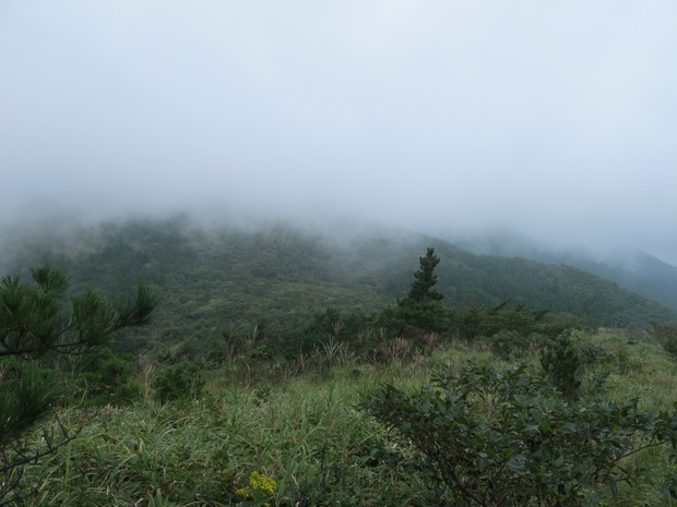 a0166196_16210100.jpg