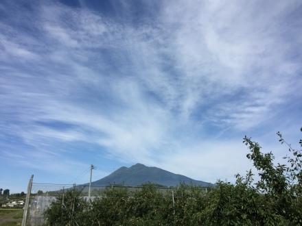 b0222804_00350981.jpeg