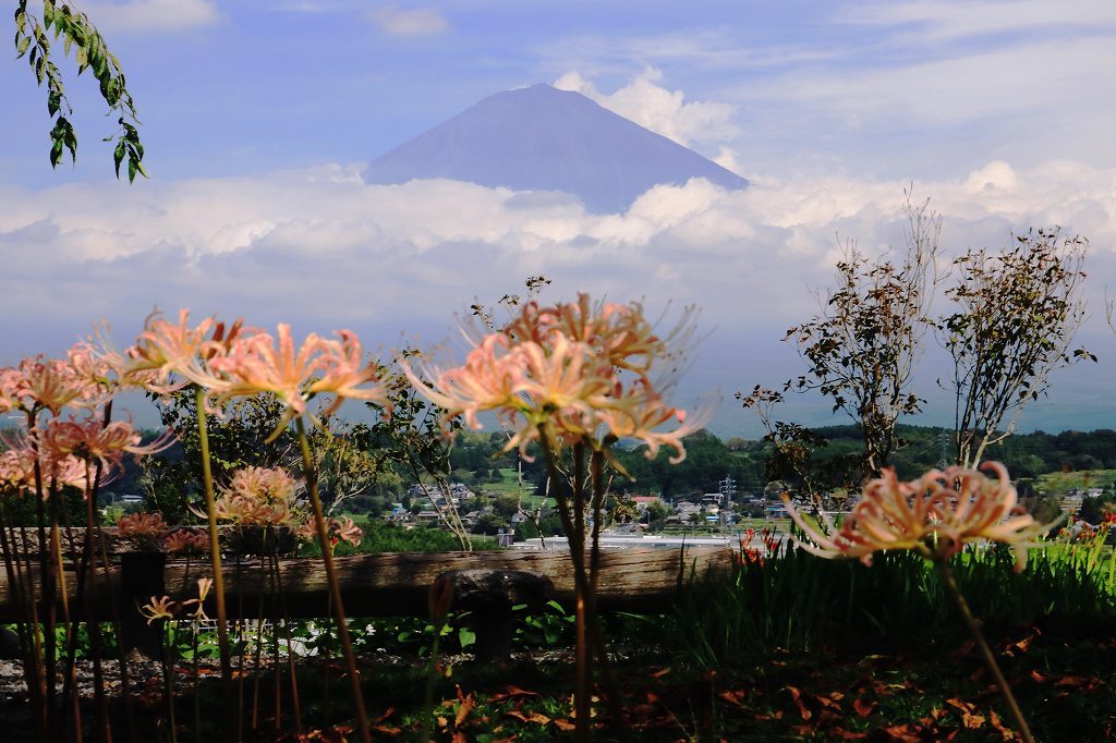 a0188405_17034015.jpg