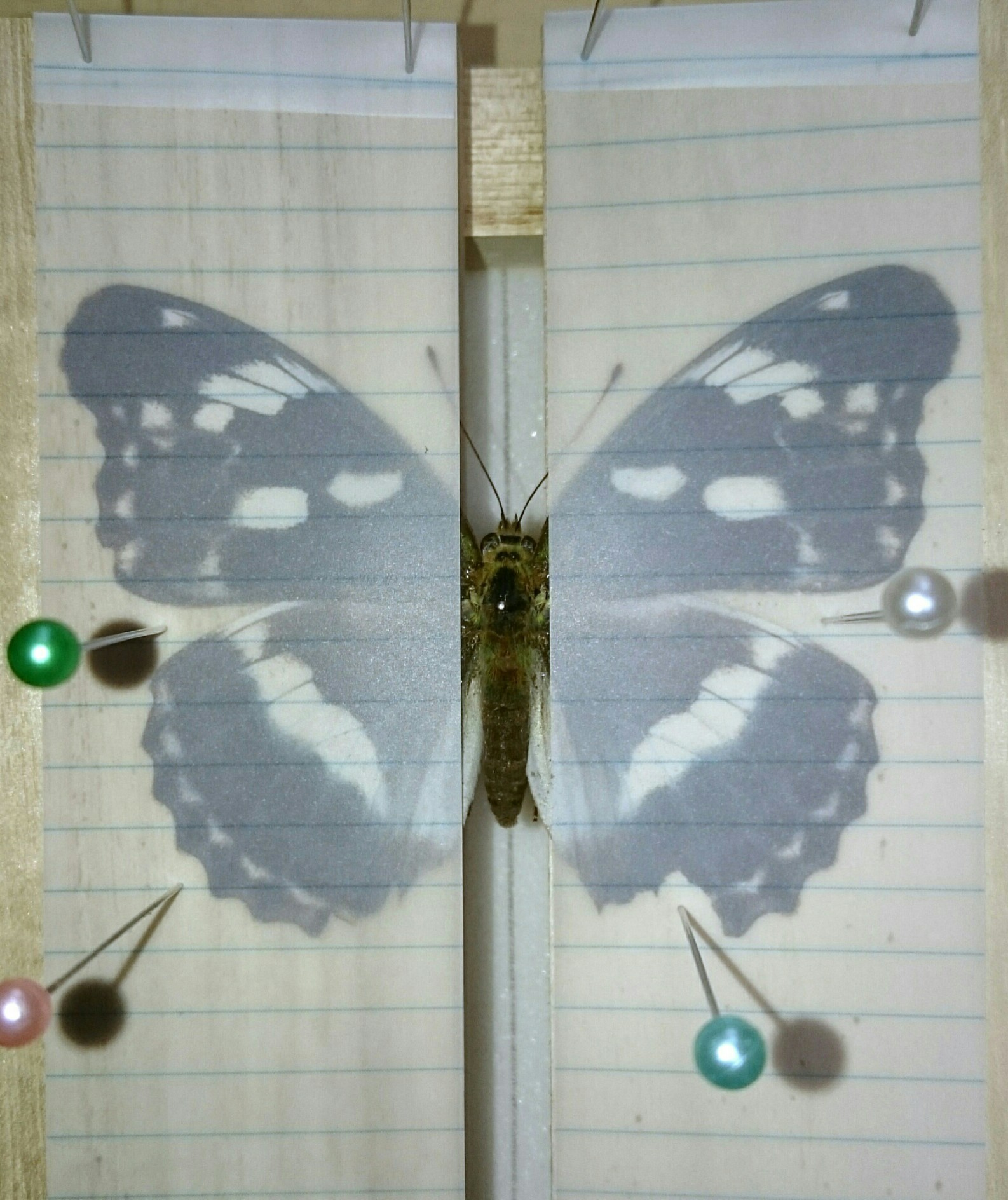 a0361610_20143750.jpg