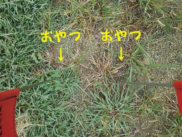 d0224111_10142165.jpg