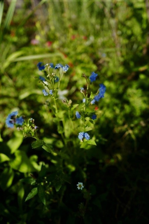 f0365212_19562116.jpg
