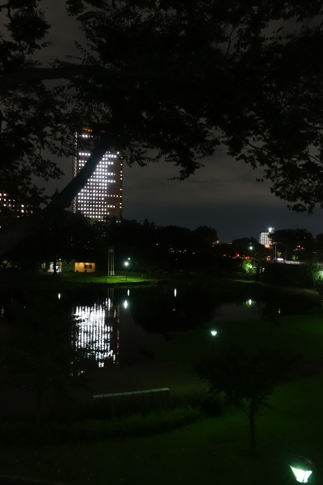 b0290816_21283400.jpg