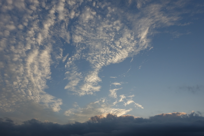 b0290816_21285081.jpg