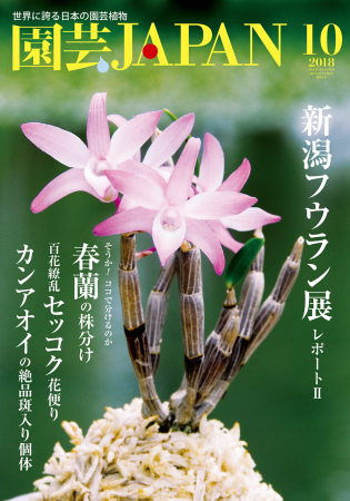 園芸japan18年10月号 園芸japan 編集部ニュース 園芸japan18年10月号 園芸japan 編集部ニュース