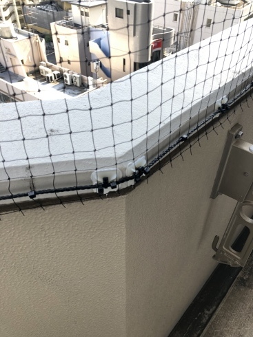マンションリフォーム2018②_f0140817_15104238.jpeg