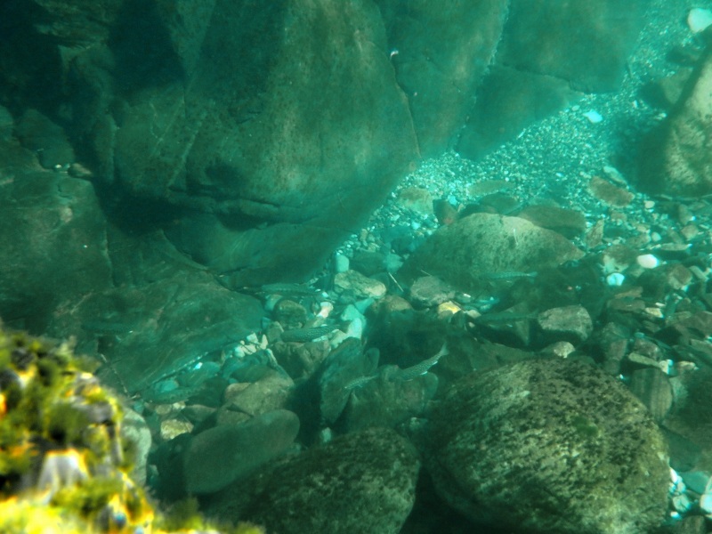d0091323_11463548.jpg