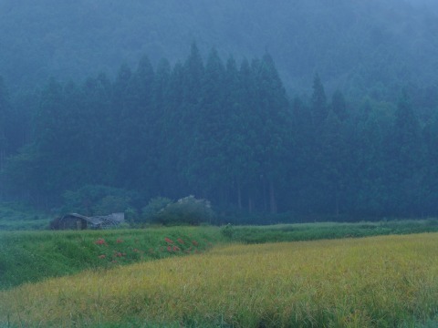 写真撮影_c0077531_21370627.jpg