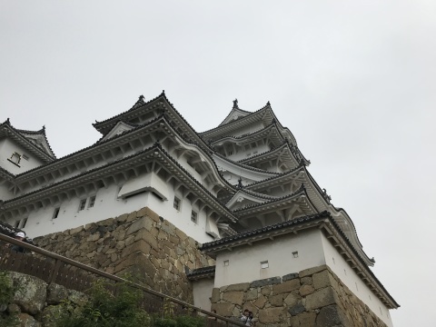 a0317236_07491272.jpeg