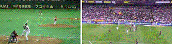 d0164636_08174961.gif