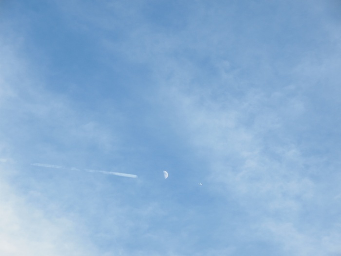 c0281841_14480696.jpg
