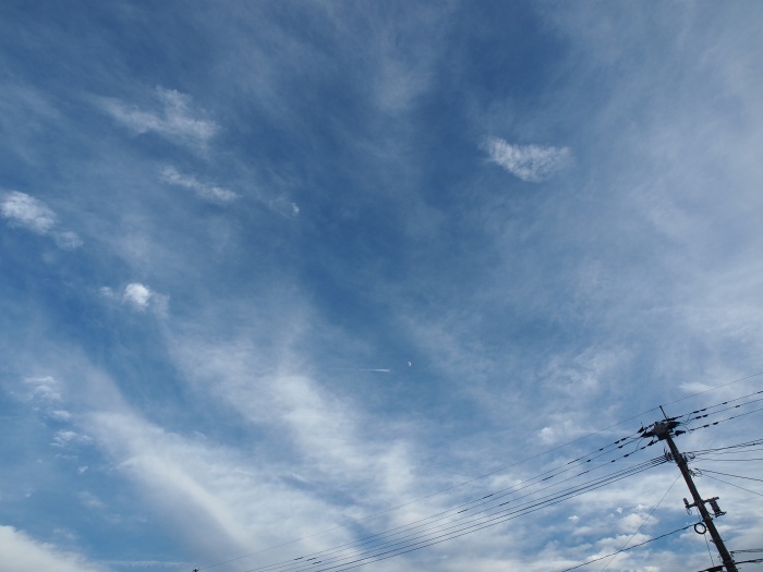 c0281841_14480968.jpg