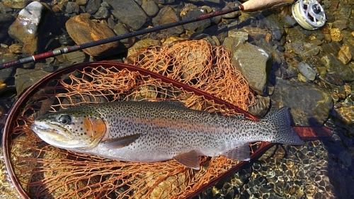 c0325951_04323560.jpg