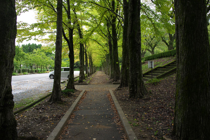 d0342652_81567.jpg