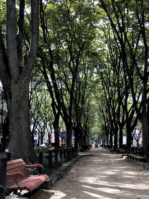 c0050264_11383659.jpg