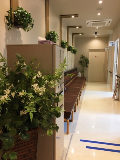 b0341471_11143112.jpeg