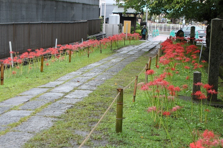 d0167672_10245318.jpg