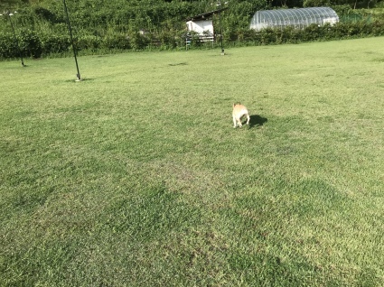 d0048577_22185215.jpeg