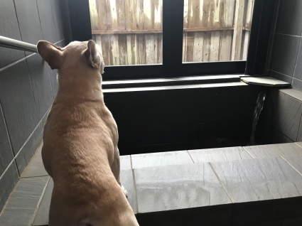 d0048577_22252033.jpeg