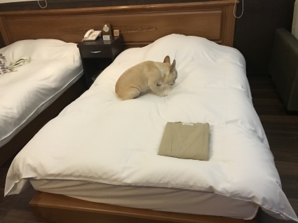 d0048577_22293293.jpeg