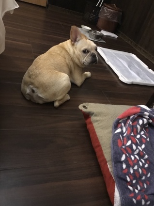 d0048577_22393253.jpeg