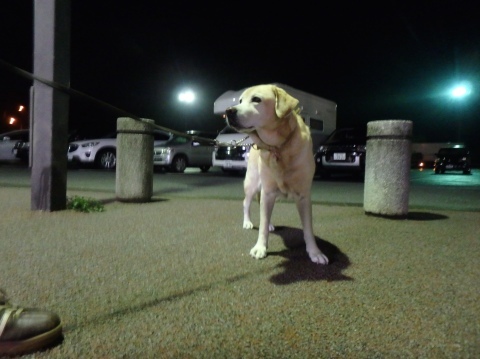 f0052277_02053051.jpg
