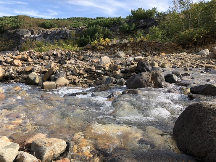 d0262778_06312277.jpeg