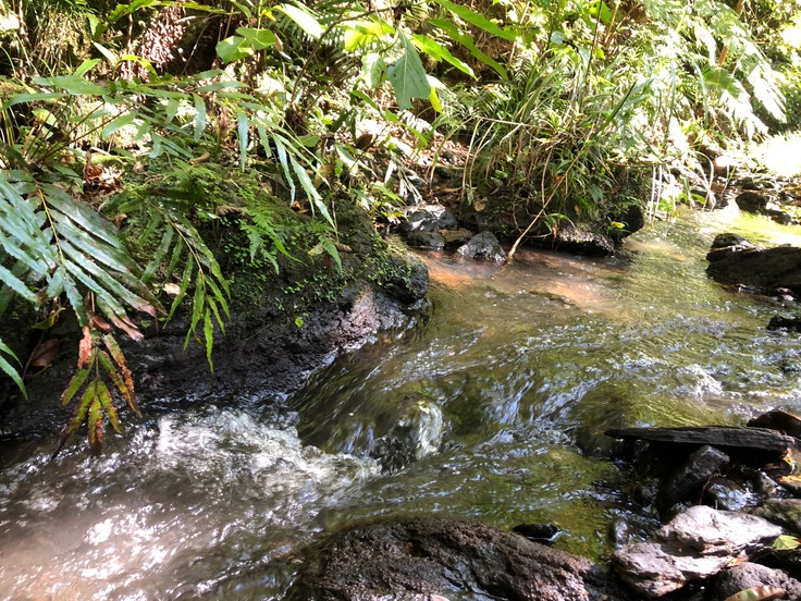 d0363878_17585584.jpg