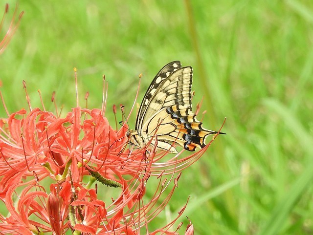 f0378979_18570725.jpg