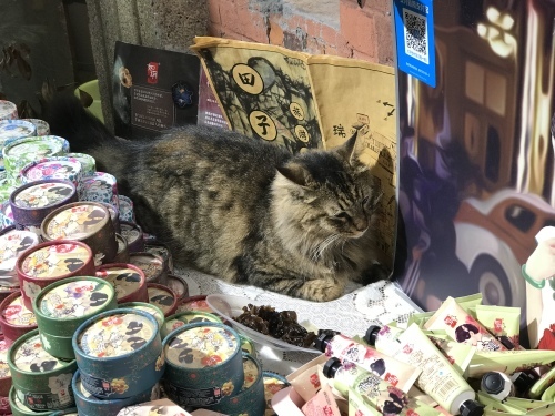 c0340786_12130910.jpeg