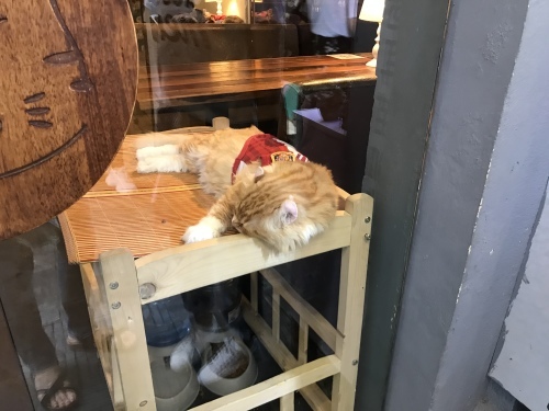 c0340786_12133111.jpeg