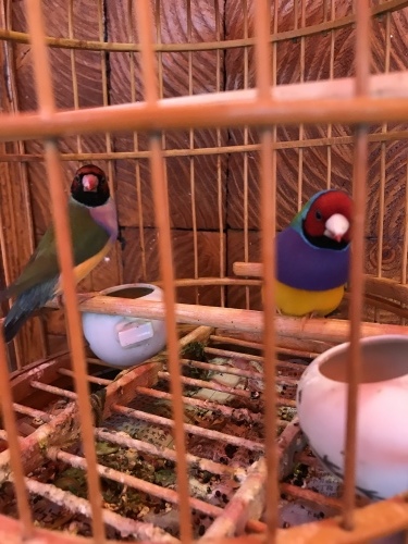 c0340786_12145764.jpeg