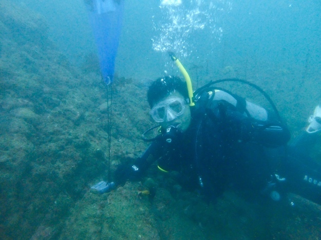 f0151886_15313676.jpg