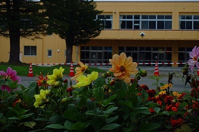 b0191190_05302467.jpg