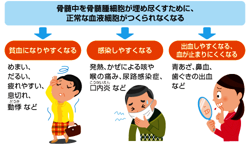血液内科へ その2 今夜の夕食