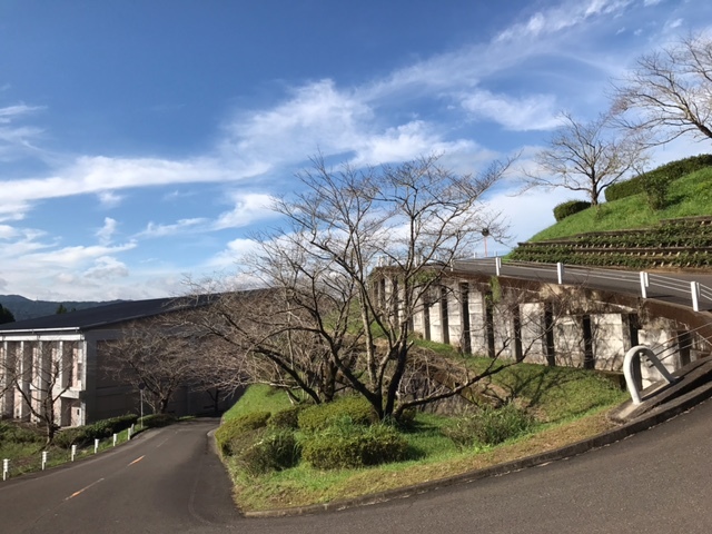 c0184491_13231086.jpeg