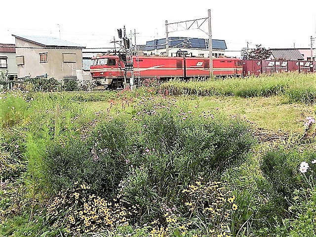 d0181492_21443530.jpg