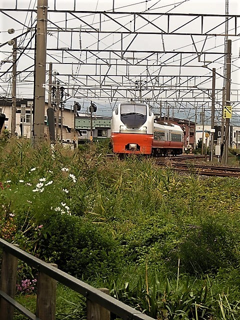 d0181492_21484121.jpg