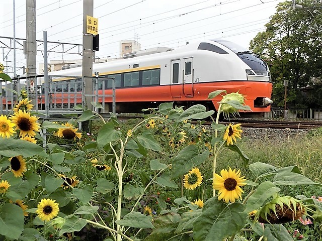 d0181492_21490670.jpg