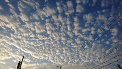 c0368903_06462092.jpg