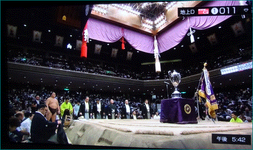 f0231709_20354015.gif