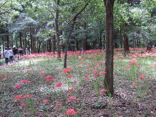 緑地 公園 村上