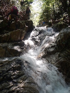 c0359615_20325105.jpg