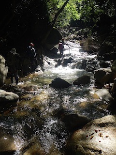 c0359615_20325700.jpg