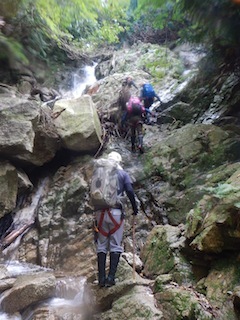 c0359615_20340044.jpg