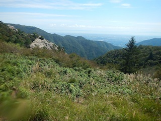 c0359615_20341971.jpg