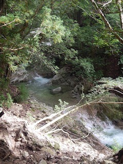c0359615_20345059.jpg