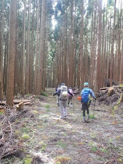 c0359615_20345567.jpg
