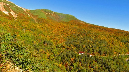 乗鞍岳の紅葉が、一気に見頃ですっ！！_a0353718_10241234.jpg