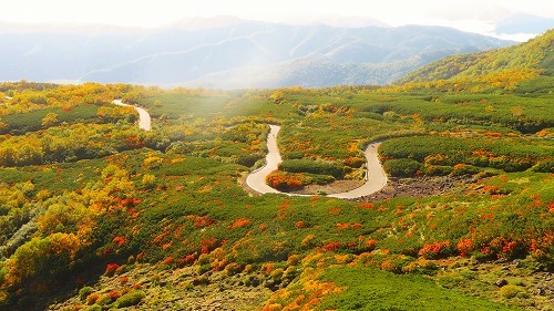 乗鞍岳の紅葉が、一気に見頃ですっ！！_a0353718_10244838.jpg